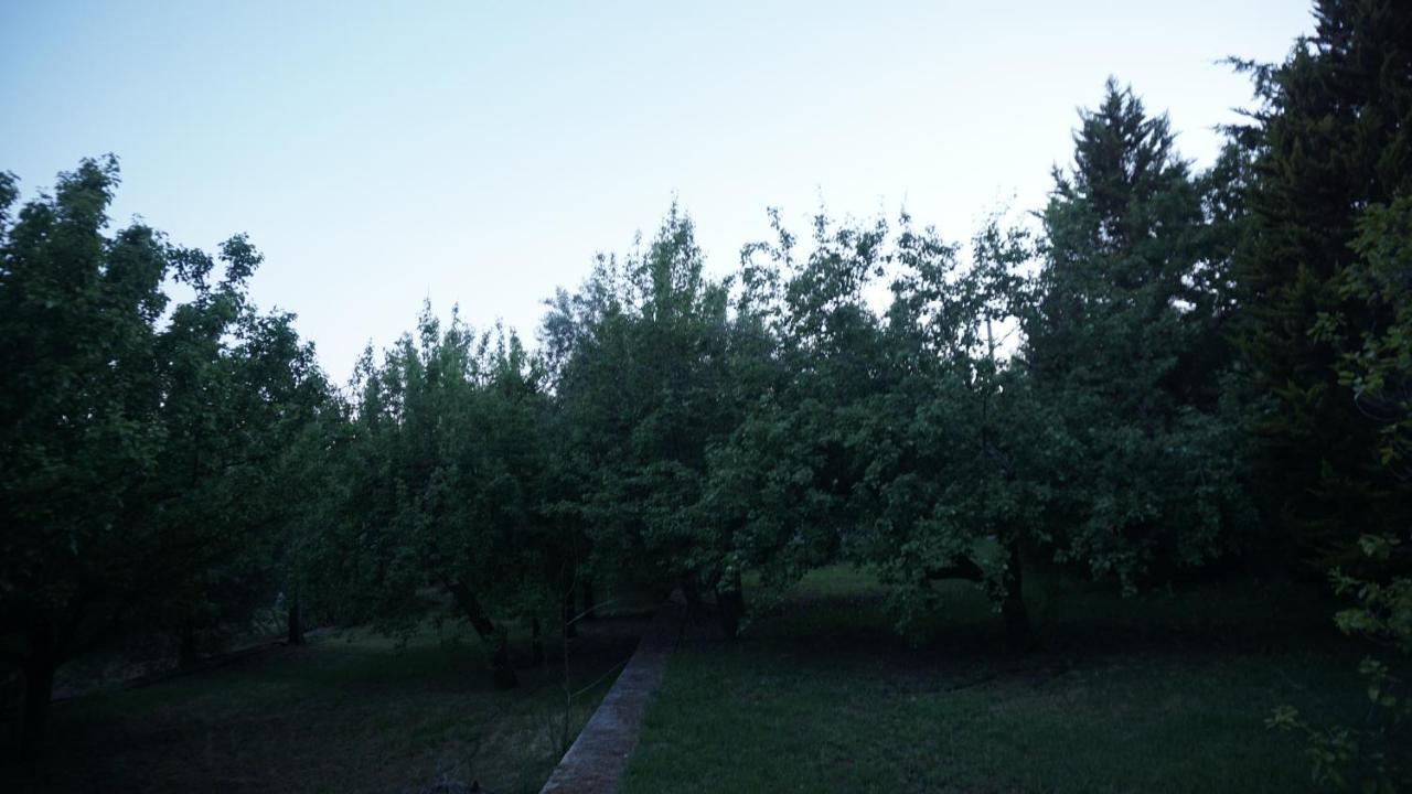 Kavet Palio Cottage PalaiónTsiflíkion Dış mekan fotoğraf