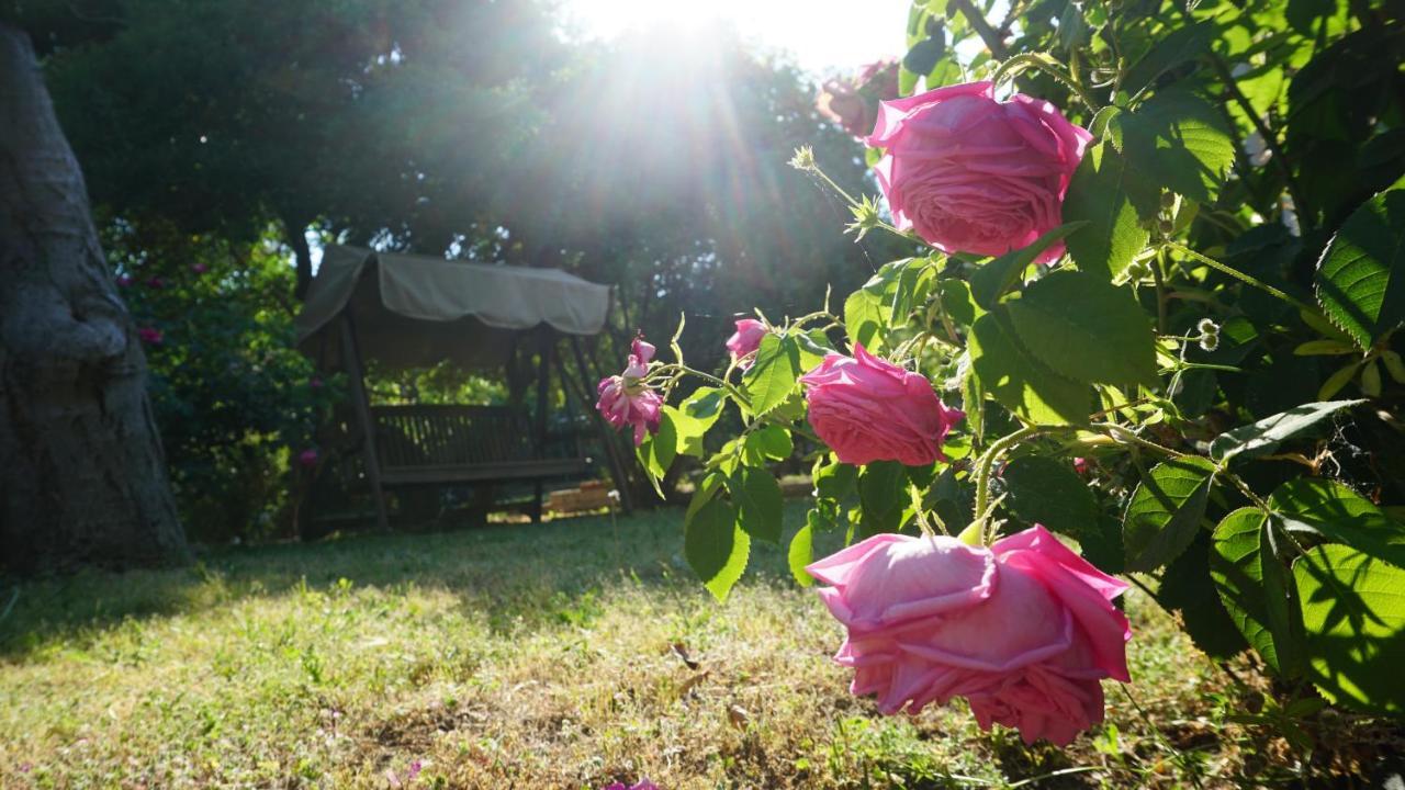 Kavet Palio Cottage PalaiónTsiflíkion Dış mekan fotoğraf