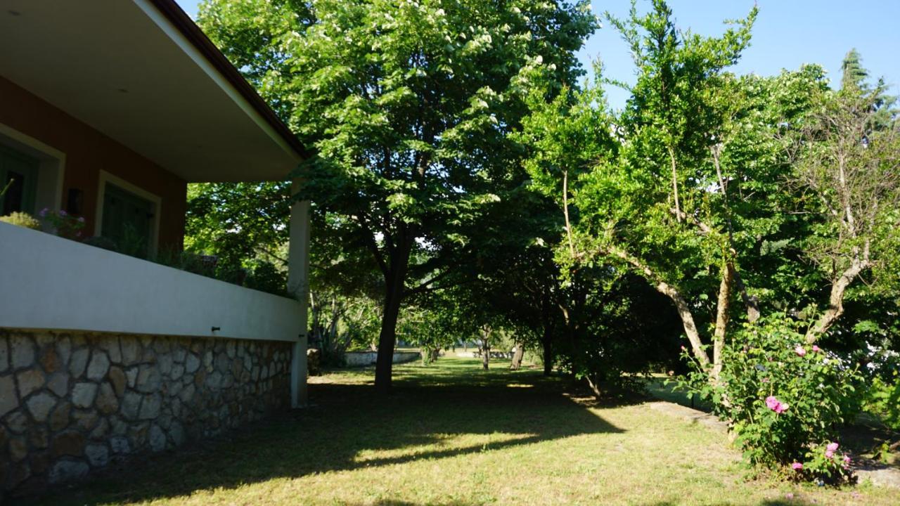 Kavet Palio Cottage PalaiónTsiflíkion Dış mekan fotoğraf