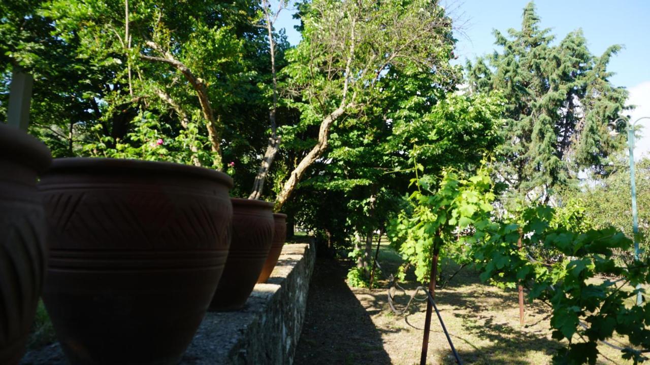 Kavet Palio Cottage PalaiónTsiflíkion Dış mekan fotoğraf